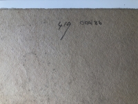 2721.jpg