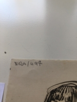 2847.jpg