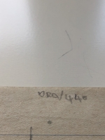 3023.jpg
