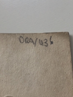 3038.jpg