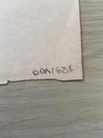 3146.jpg