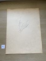 3256.jpg