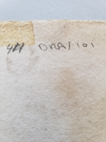 4243.jpg