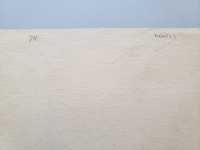 4249.jpg